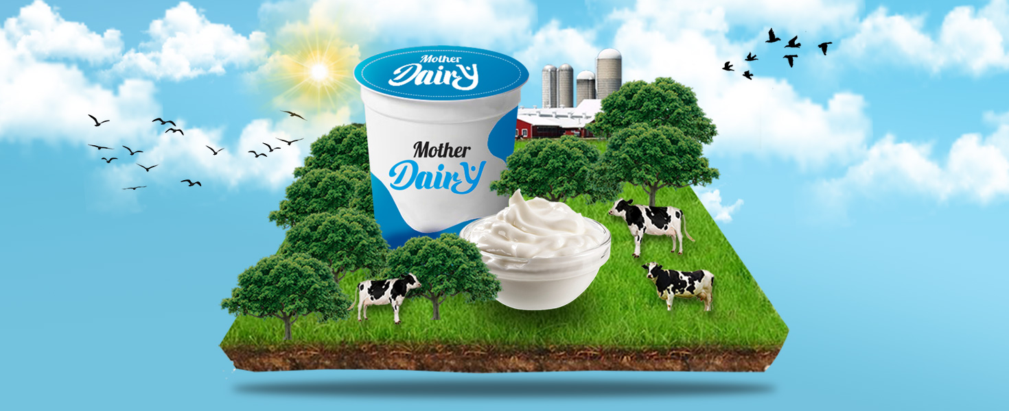 Yogurt
